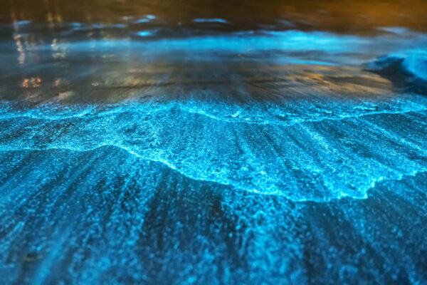 Aguas cristalinas de las playas de Cholón.