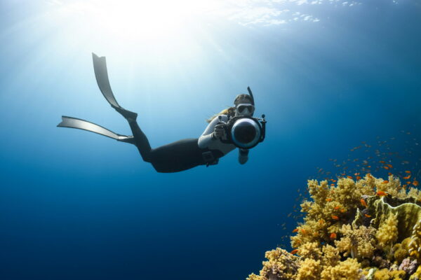 Mujer bucean a través de las maravillas submarinas de la isla de Barú